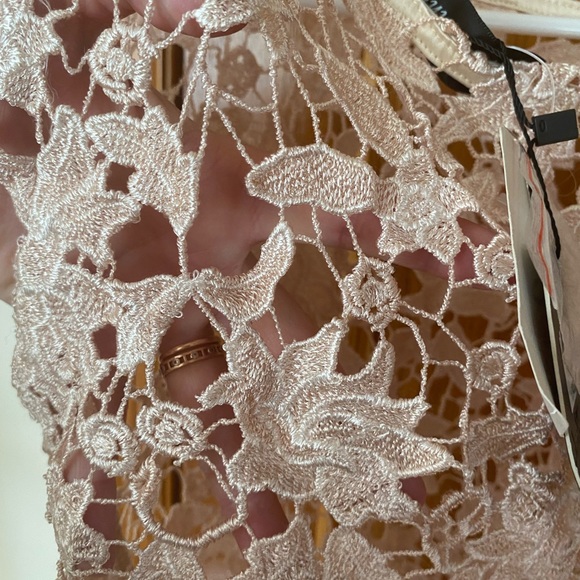 Miss Finch lace topper blouse - Picture 3 of 4